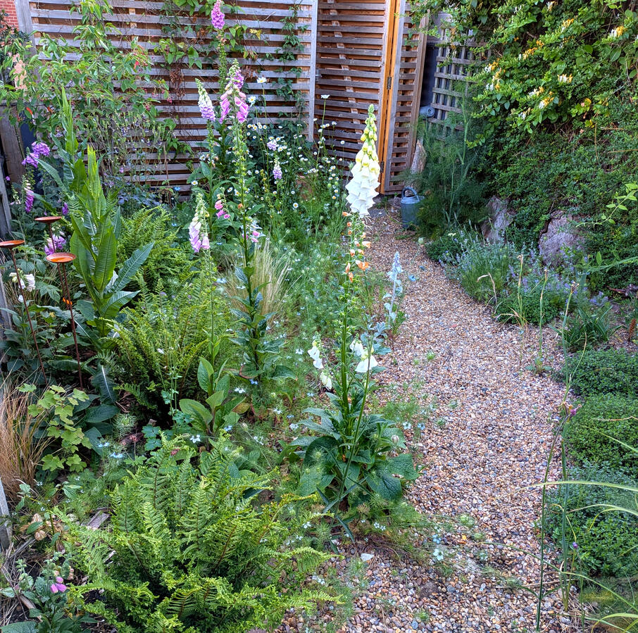 Cottage garden path