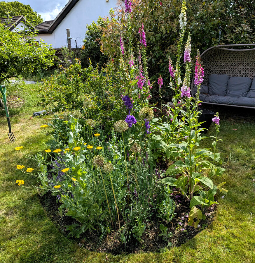Pollinator friendly planting